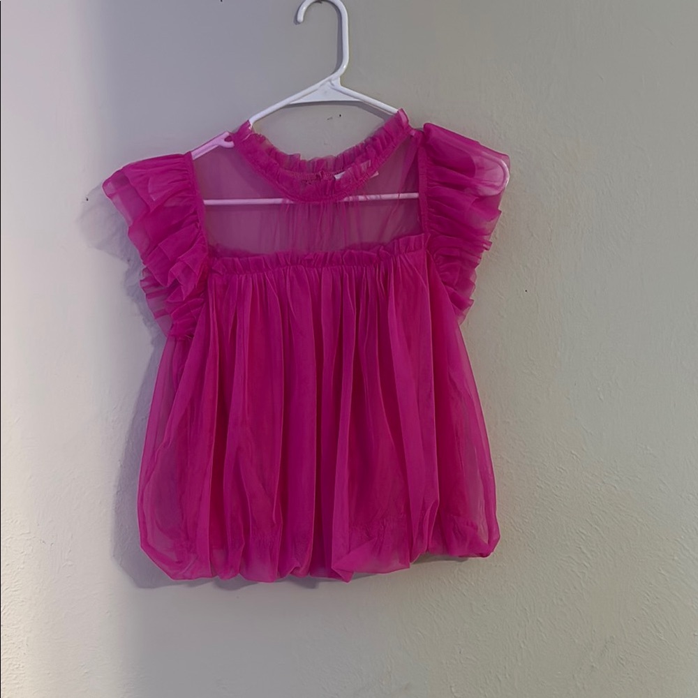 Pink Sheer Crop Top with Ruffled Sleeves